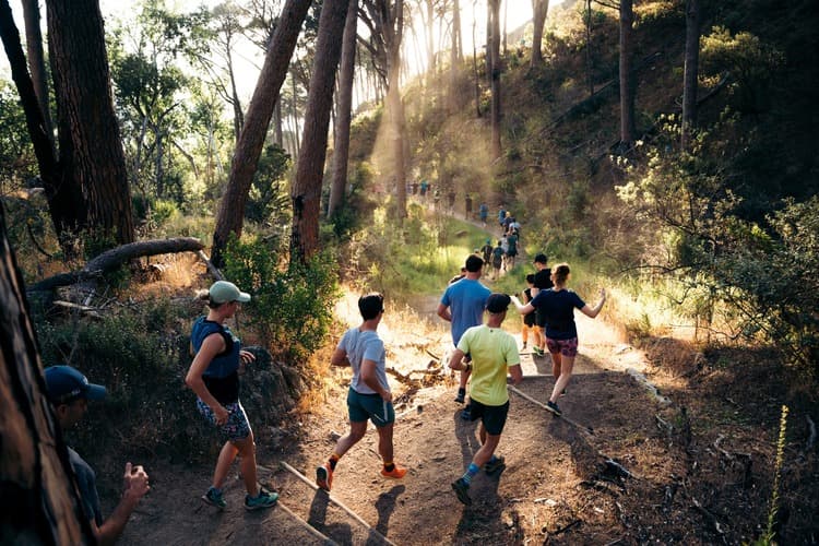 Newlands Forest trail run